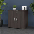 Office Storage Cabinet with Doors