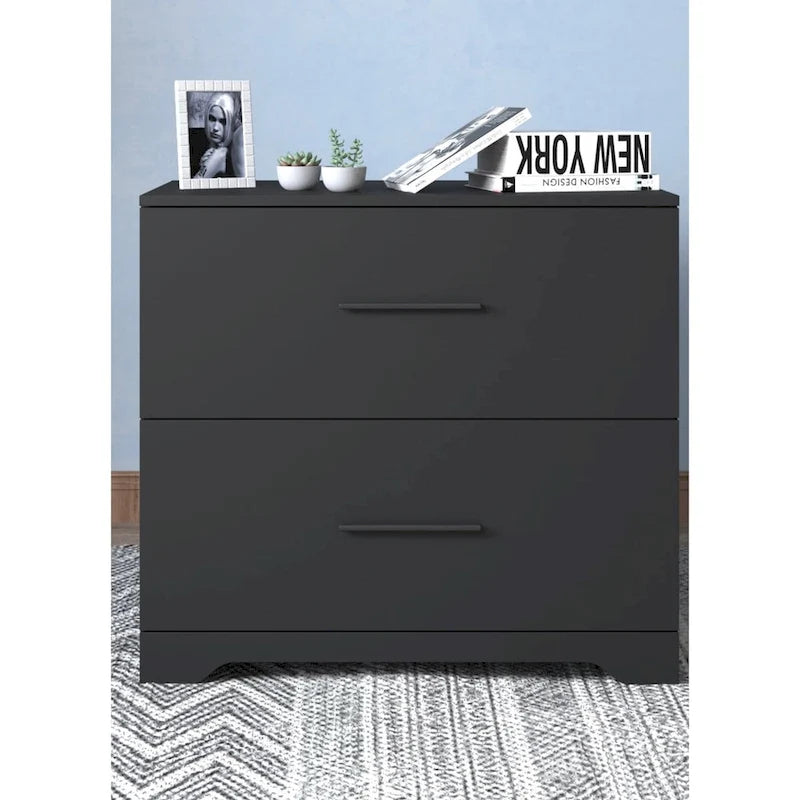 2 -Drawer Lateral Filing Cabinet,Storage Filing Cabinet for Home Office, Black