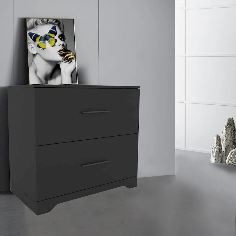 2 -Drawer Lateral Filing Cabinet,Storage Filing Cabinet for Home Office, Black